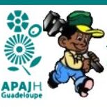 ESAT Alizé  - APAJH
