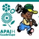 Service Mandataire judiciaire - APAJH